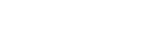 山东风途物联网科技有限公司-LOGO